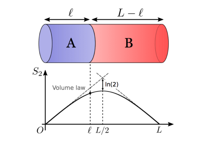 量子もつれの空間分布のグラフ。物質をAとBの2つに分けた時に、AとBの間にどのくらいの量子もつれが生じているかを縦軸に、物質Aの長さを横軸にプロットしてある。