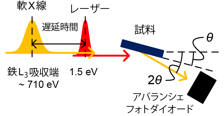 fig1
