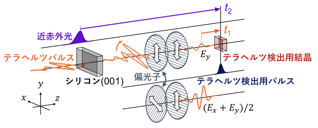 fig2